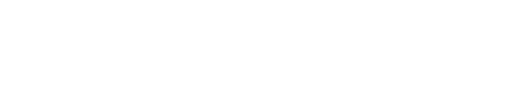 scholz-inspection.com